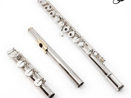 Verne Q. Powell Handmade Custom Flute in Platinum with Silver Mechanism - New Hot on Sale