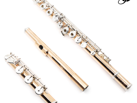 Haynes Classic Flute Q-Series Model Q-Fusion - New Fashion