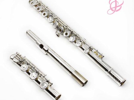 The Di Zhao Flute Model 501 - New Sale