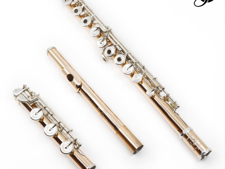 Di Zhao Handmade DZ GS-D Flute - New Discount