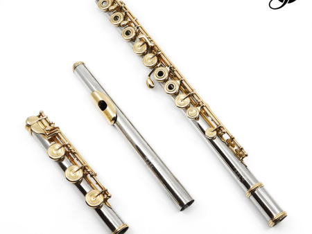 Verne Q. Powell Handmade Custom Flute in Platinum with Gold Mechanism - New Fashion