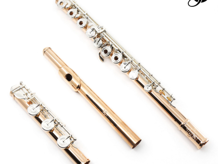 Brannen Brothers  Brögger Flute  in 14K Gold with Silver Keys - New For Sale