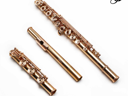 William S. Haynes Handmade Custom Flute in 19.5K Gold with Gold Mechanism - New on Sale