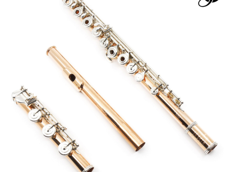 William S. Haynes Handmade Custom Flute in 10K Gold - New Online Sale