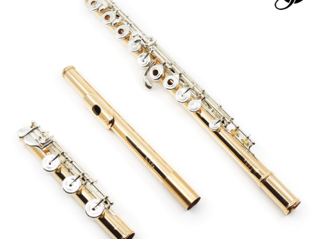 Verne Q. Powell Handmade Custom Flute in 18K Rose Gold with Silver Mechanism - New Discount