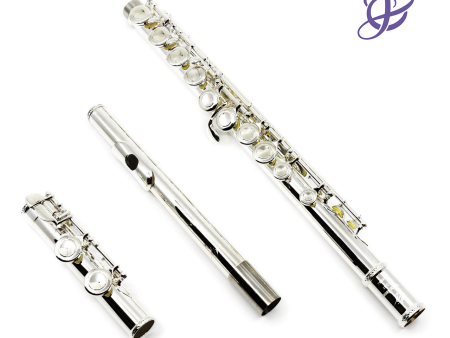 Trevor James Model 10XC Flute - Demo Model Online Hot Sale