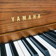 Yamaha M500 M Upright Piano on Sale