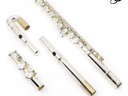 Gemeinhardt Student Flute Model 2SP with Straight and Curved Headjoints - New Sale