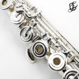 Amadeus by Haynes Model 780 Flute - New Fashion