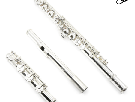 William S. Haynes Handmade Custom Flute in 5% Gold - New Hot on Sale