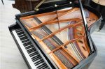 Bosendorfer 200 (6 5  ) - ONLINE INVENTORY Call for Availability Online Hot Sale