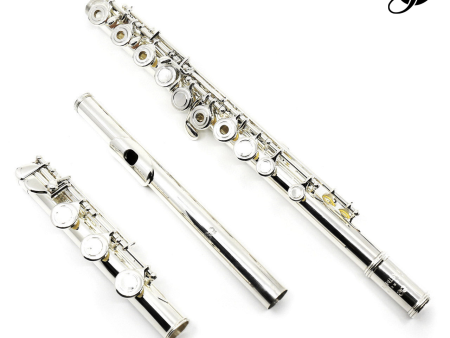 Eastman Intermediate Flute Model  420 - New Fashion