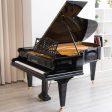 Bechstein B 203 (6 6 ) - 1908 ONLINE INVENTORY Call for Availability Online now