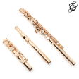 Brannen Brothers  Brögger Flute  in 14K Gold with Gold Keys - New For Sale