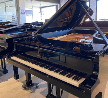 Steinway C 227 (7 6 ) - 1915 ONLINE INVENTORY Call for Availability Online Hot Sale