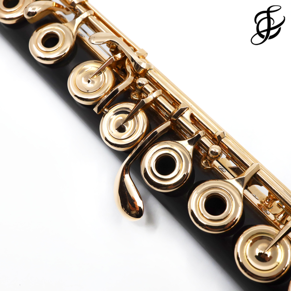 Verne Q. Powell Handmade Custom Flute in Grenadilla Wood with Gold Mechanism - New Online now