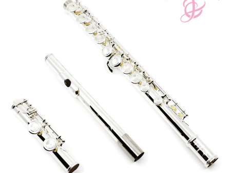 Trevor James Model 10XC Flute - New Hot on Sale