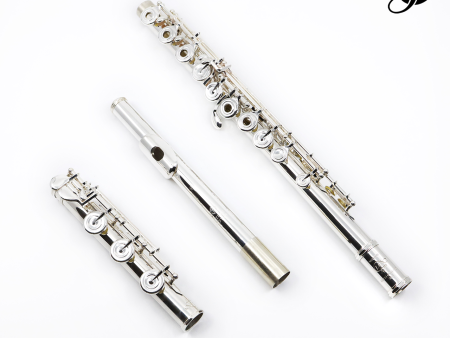 Di Zhao Handmade DZ D-S Flute - New Online