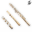 William S. Haynes Handmade Custom Flute in 19.5K Gold - New Supply