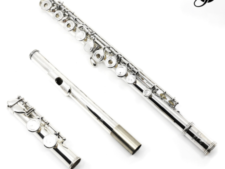 Eastman Student Flute Model EFL220 - New Online