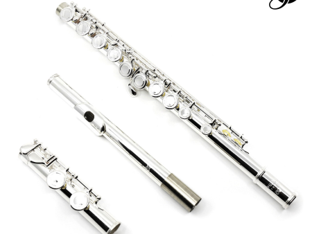 Eastman Student Flute Model EFL 210 - New on Sale