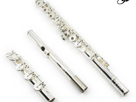 Amadeus by Haynes Model 580 Flute - New on Sale