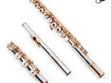 William S. Haynes Handmade Custom Flute in Platinum - New Online Hot Sale