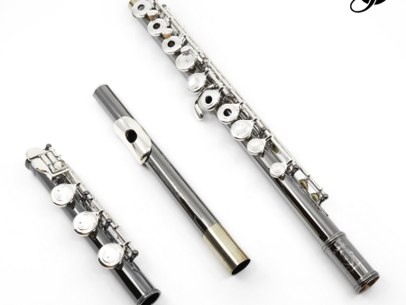 Gemeinhardt Student Flute Model 3OB-BLK Online now