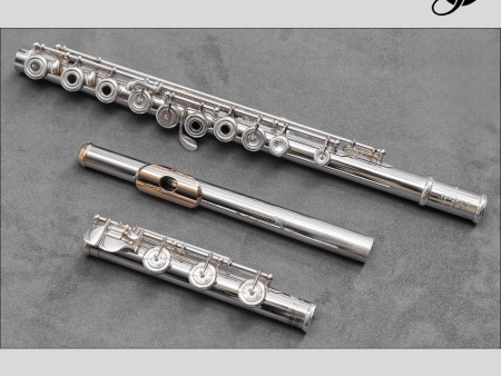 Brannen Brothers  Brögger Flute  in Platinum - New Fashion