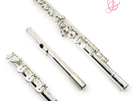 Haynes Classic Flute Q-Series Model Q1 - New Supply