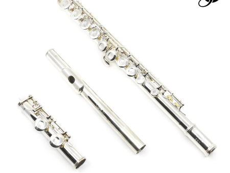 Gemeinhardt Student Flute Model 2SH (Closed Hole) - New For Sale