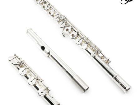 Haynes Classic Flute Q-Series Model Q-Galway and Galway Fluterscooter Bag Bundle Hot on Sale