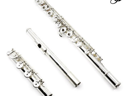 Verne Q. Powell Handmade Custom Flute in Sterling Silver - New Hot on Sale