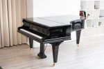 Bechstein B 203 (6 6 ) - 1908 ONLINE INVENTORY Call for Availability Online now