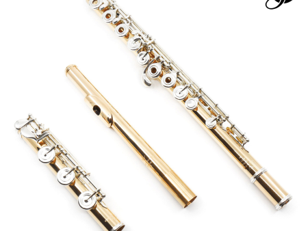 Verne Q. Powell Handmade Custom Flute in 14K Gold with Silver Mechanism - New Online now