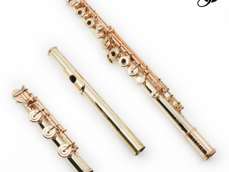 William S. Haynes Handmade Custom Flute in 14K Gold with Gold Mechanism - New Online Hot Sale