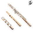 Brannen Brothers  Brögger Flute  in 10K Gold with Silver Keys  - New Online