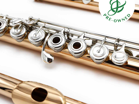 Powell Custom #5114 - 14K gold flute, inline G, C# trill key, B footjoint Online Sale