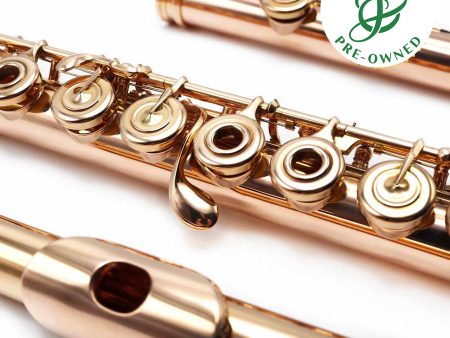 Haynes Custom #51210 - 14K Gold flute, inline G, C footjoint Online now