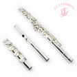 Haynes Classic Flute Q-Series Model Q2 - New Online Sale