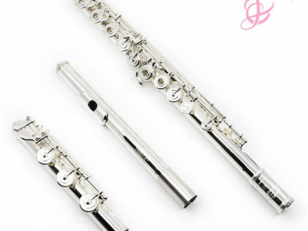 Haynes Classic Flute Q-Series Model Q2 - New Online Sale