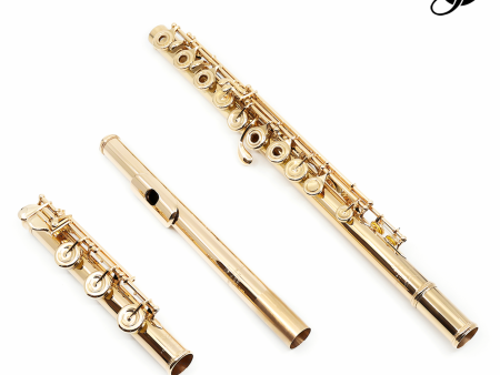 Verne Q. Powell Handmade Custom Flute in 18K Rose Gold with Gold Mechanism - New Online Hot Sale