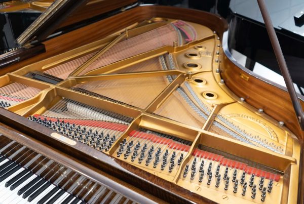 Steinway B-211 (6 11 ) - 1974 ONLINE INVENTORY Call for Availability For Cheap