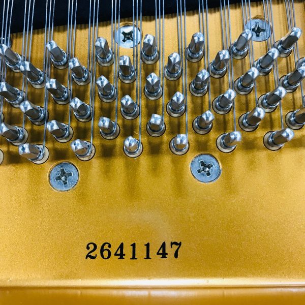 Kawai RX2 Grand Piano Supply