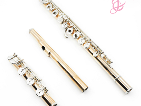 Powell Conservatory Flute in 9K Aurumite - New Fashion